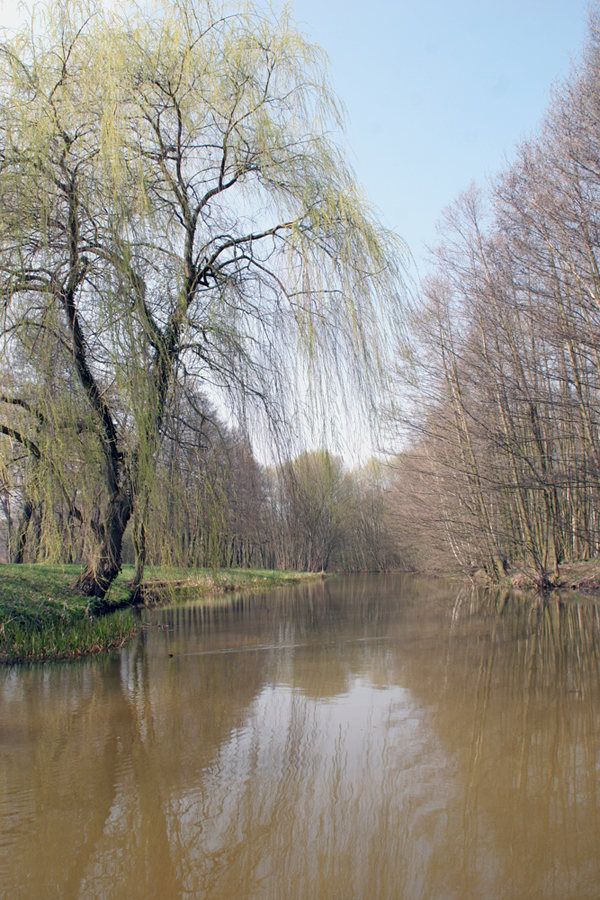 spreewald-7