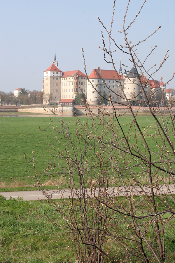 torgau-fruehling-3