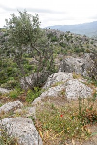 kreta-258 kreta-258
