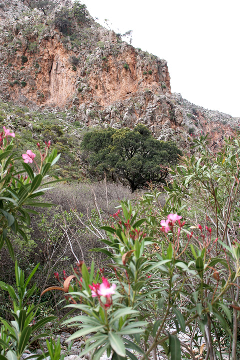 Kato Zakros und das Tal der Toten auf Kreta