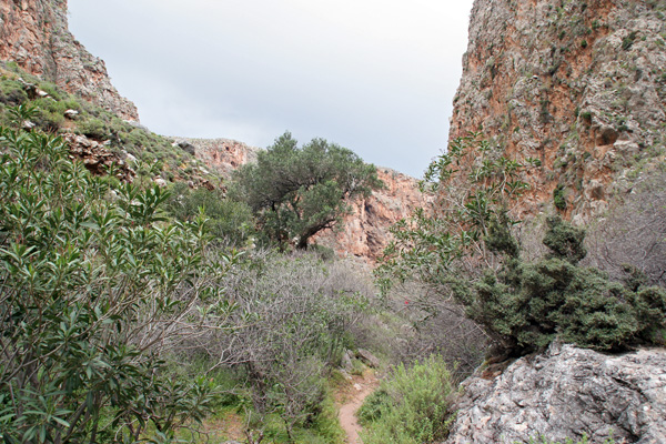 Kato Zakros und das Tal der Toten