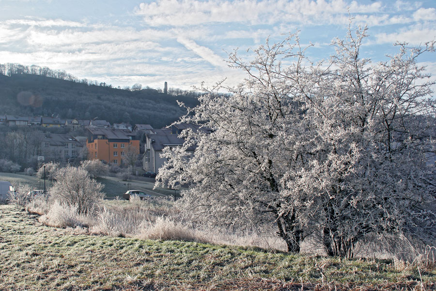 Winter in den Fuchslöchern bei Jena