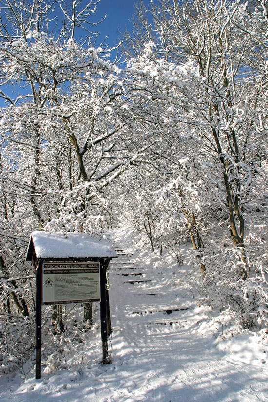 Auf verschneiten Wegen zum Fuchsturm