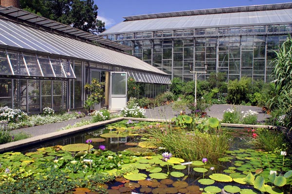 Botanischer Garten Jenas