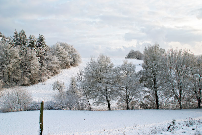 Weiße Landschaft