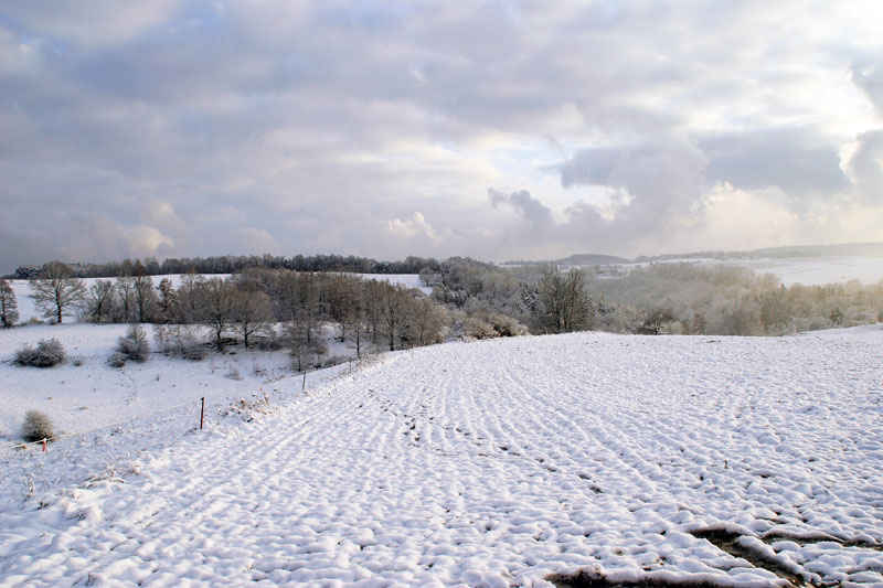 Winterliche Landschaft